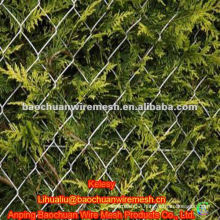 50*50mm PVC coated chain link fence